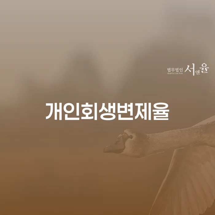연대보증채무 연체 시 개인회생으로 방법 진행하는