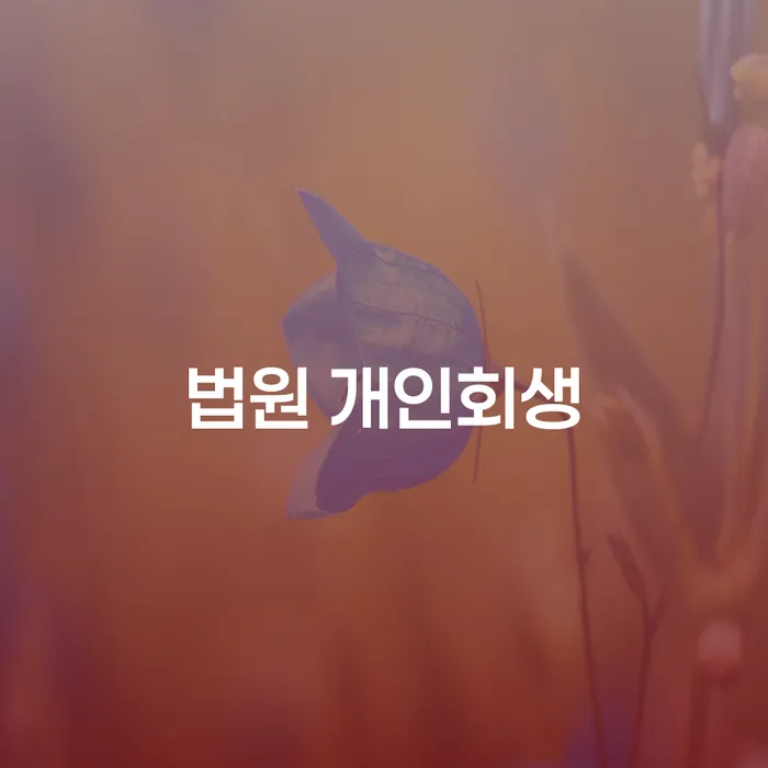 신용불량자회복 신용회복 면담후에