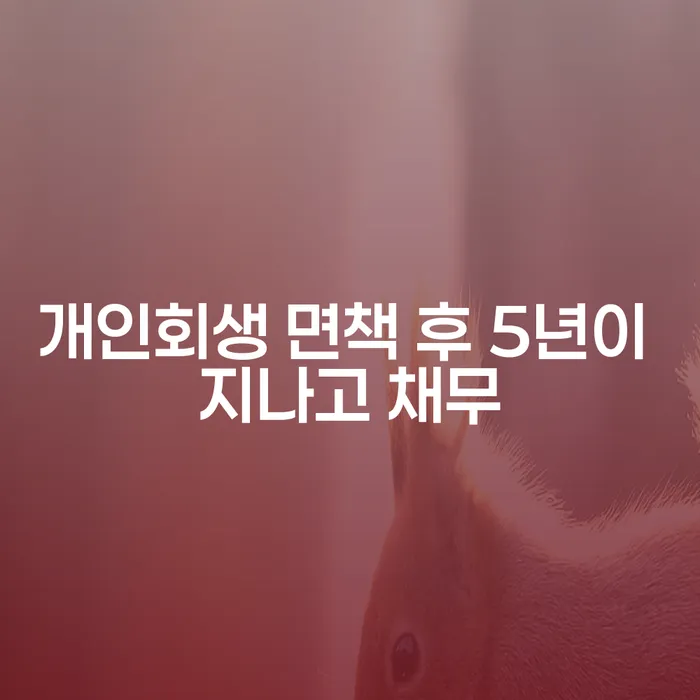카드빛 채무 효과적인 해결방법 알아야 하는 꿀팁
