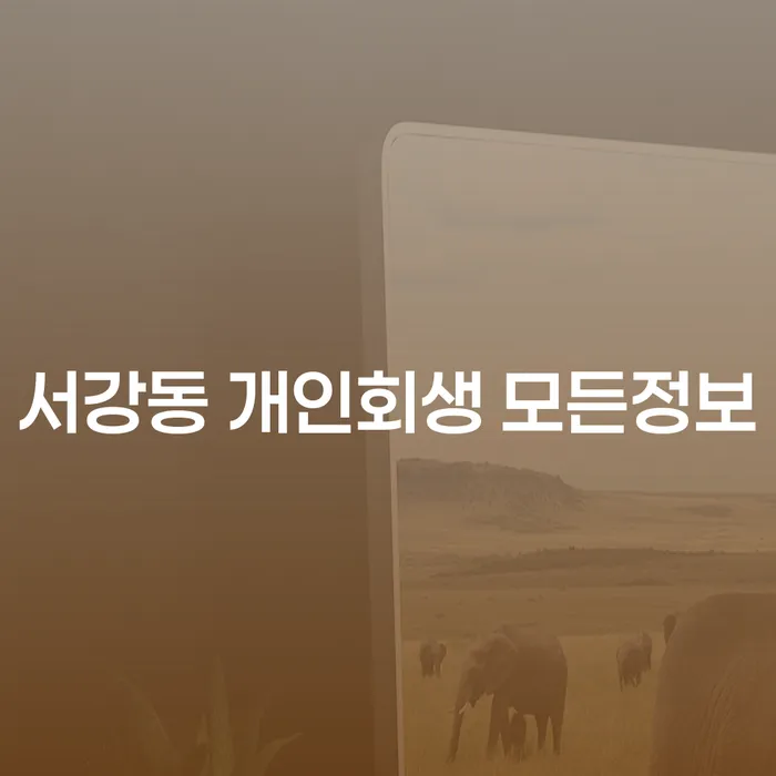 서강동 개인회생 모든정보