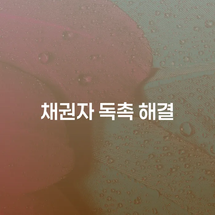 채권자 독촉 해결, 개인회생과 개인파산으로 가능할까요?