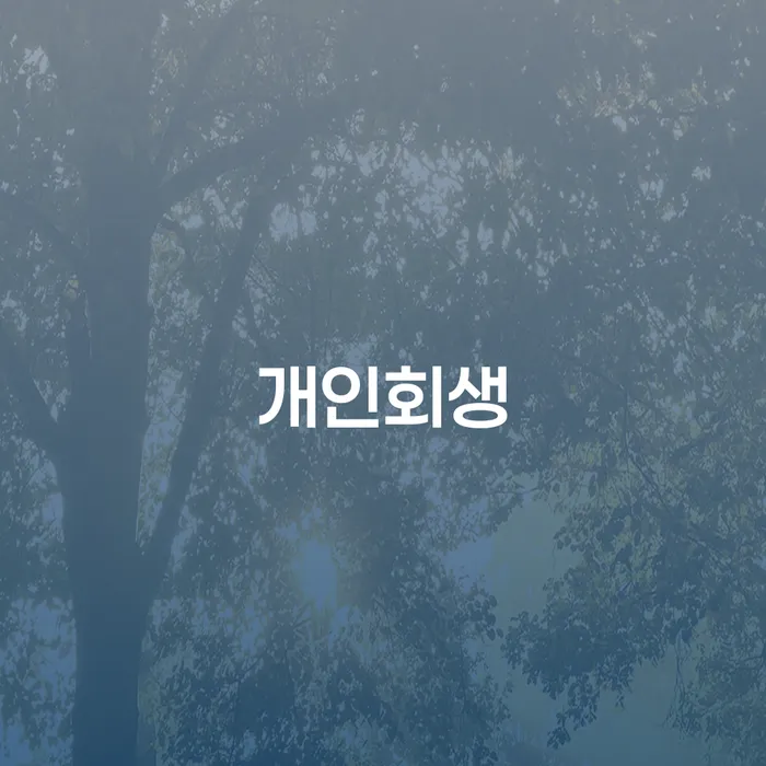 양평군 개인회생 이해하기 및 사례 분석