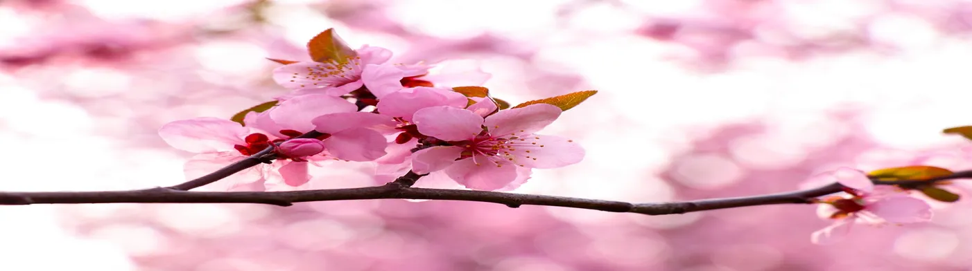 법무법인 서앤율